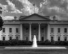 white-house